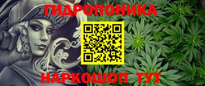 прущие грибы Гусь-Хрустальный